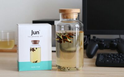Best Jun Tea Brewing Kit for Home Fermentation